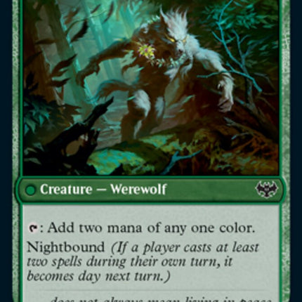 Weaver of Blossoms // Blossom-Clad Werewolf [Innistrad: Crimson Vow] –  TokenMTG
