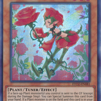 Rose Girl [ETCO-EN081] Super Rare