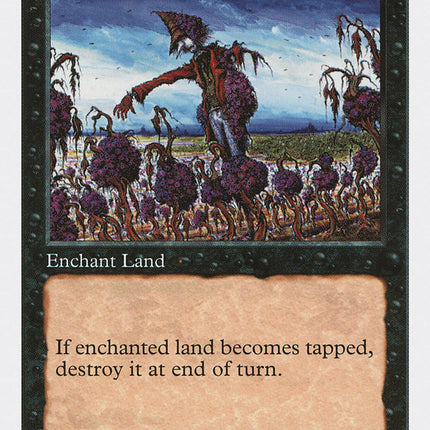 Blight [Fifth Edition]