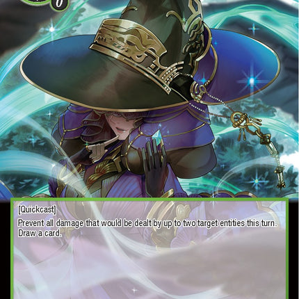 Pointy Hat's Camouflage (TST-039) [The Seventh]