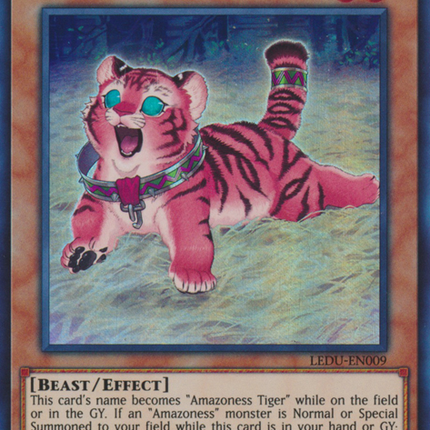 Amazoness Baby Tiger [LEDU-EN009] Ultra Rare
