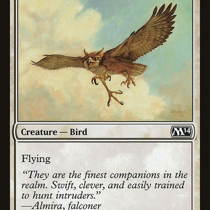 Suntail Hawk [Magic 2014]