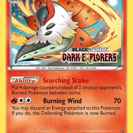Volcarona (BW40) (Staff Prerelease Promo) [Black & White: Black Star Promos]
