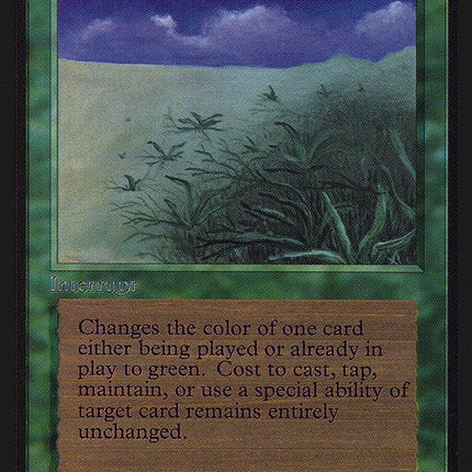 Lifelace [International Collectors' Edition]