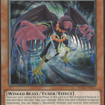 Blackwing - Decay the Ill Wind [SHVI-EN017] Common