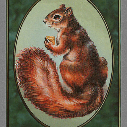 Squirrel Token [Unglued Tokens]