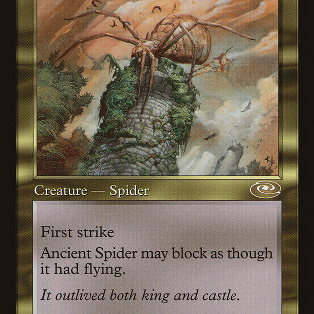Ancient Spider [Planeshift]