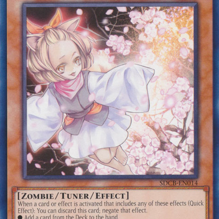 Ash Blossom & Joyous Spring [SDCB-EN014] Common