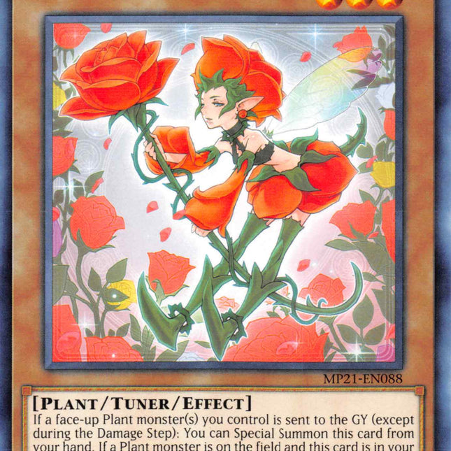 Rose Girl [MP21-EN088] Common