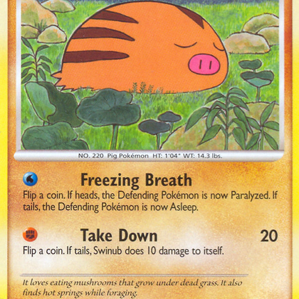 Swinub (77/100) [Diamond & Pearl: Stormfront]