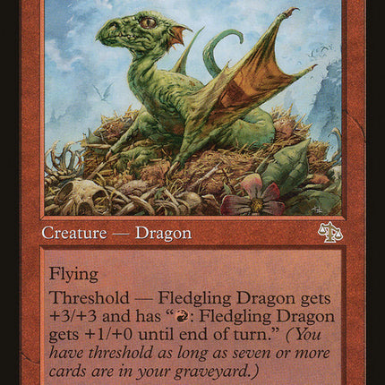 Fledgling Dragon [Judgment]