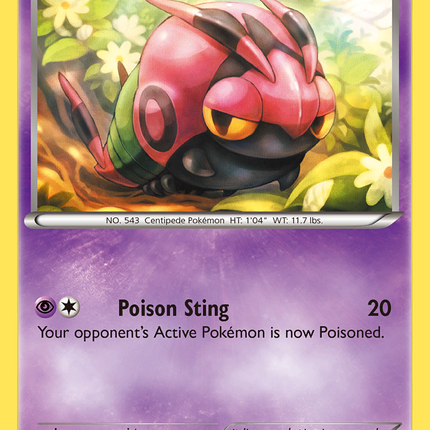 Venipede (51/146) [XY: Base Set]