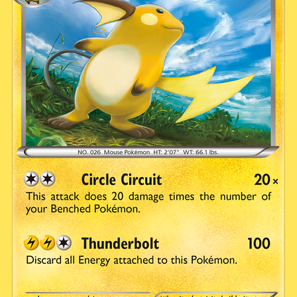 Raichu (43/146) [XY: Base Set]