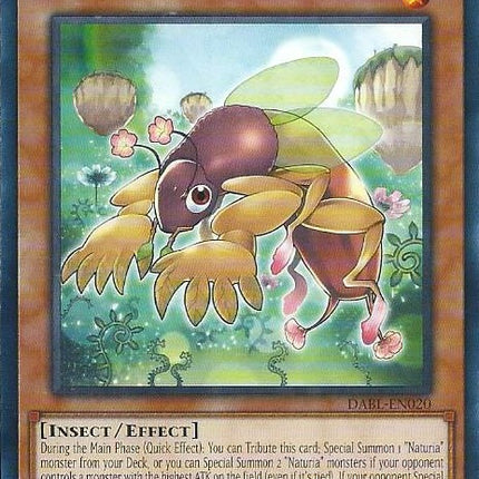 Naturia Mole Cricket [DABL-EN020] Common