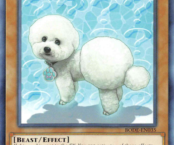 Outstanding Dog Mary [BODE-EN035] Common – TokenMTG