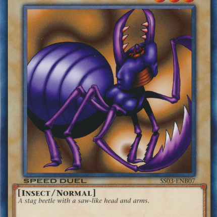 Alinsection [SS03-ENB07] Common