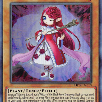 Ruddy Rose Witch [LIOV-EN010] Super Rare