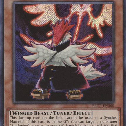 Blackwing - Vayu the Emblem of Honor [BLCR-EN060] Secret Rare