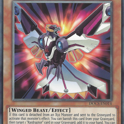raidraptor xyz monsters Raidraptor