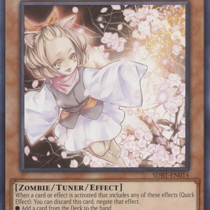 Ash Blossom & Joyous Spring [SDBT-EN014] Common