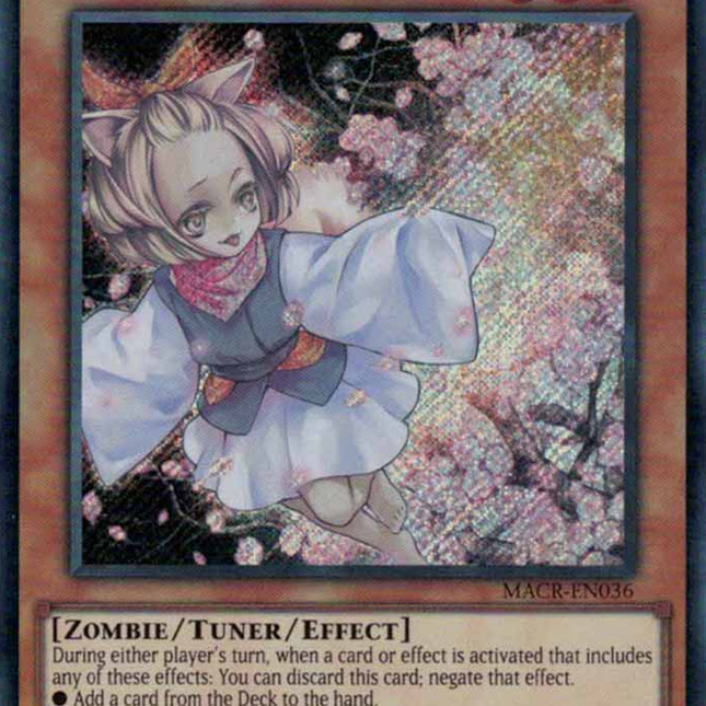 Ash Blossom & Joyous Spring [MACR-EN036] Secret Rare