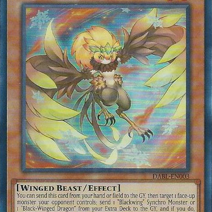 Blackwing - Chinook the Snow Blast [DABL-EN003] Super Rare