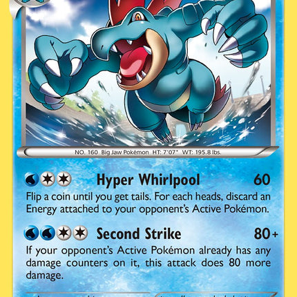 Feraligatr (17/119) [Alternate Art Promos]