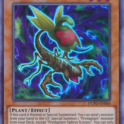 Predaplant Ophrys Scorpio [DUPO-EN066] Ultra Rare