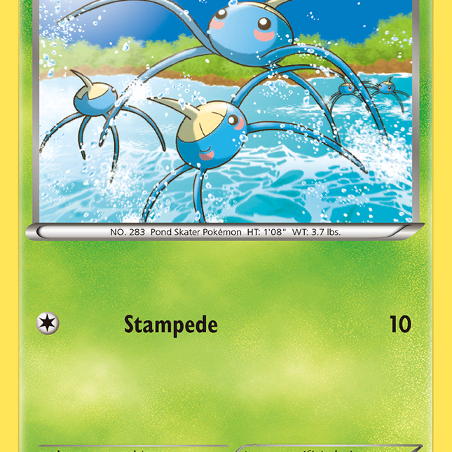 Surskit (13/160) [XY: Primal Clash]