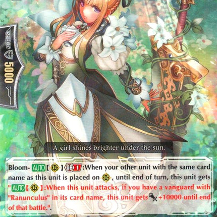 Sunshine Maiden, Paula (G-CHB01/037EN) [TRY3 NEXT]