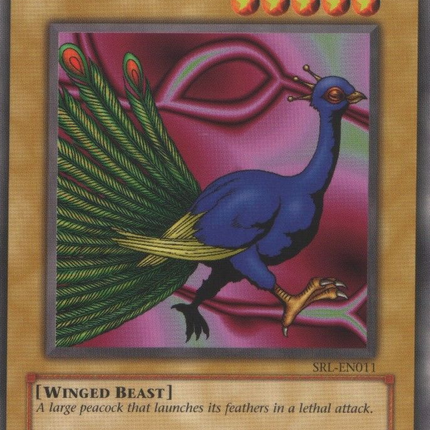 Peacock [SRL-011] Common