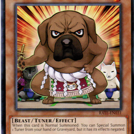 Yokotuner [RATE-EN031] Common