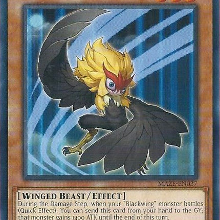 Blackwing - Kalut the Moon Shadow [MAZE-EN037] Rare