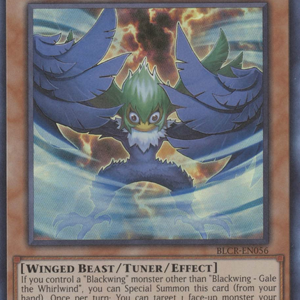 Blackwing - Gale the Whirlwind [BLCR-EN056] Ultra Rare